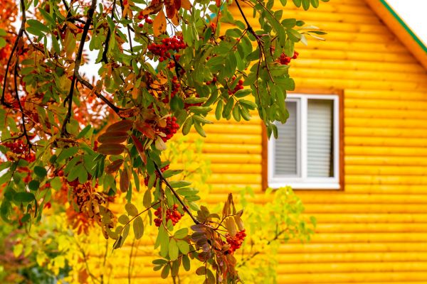 Garden Window Replacement in Arlington